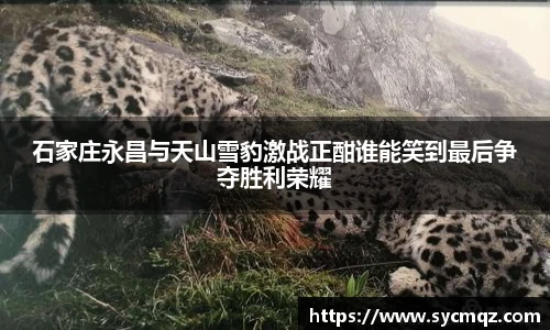 石家庄永昌与天山雪豹激战正酣谁能笑到最后争夺胜利荣耀